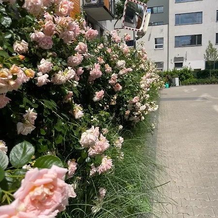 Cybernetyki2 Near Airport Варшава