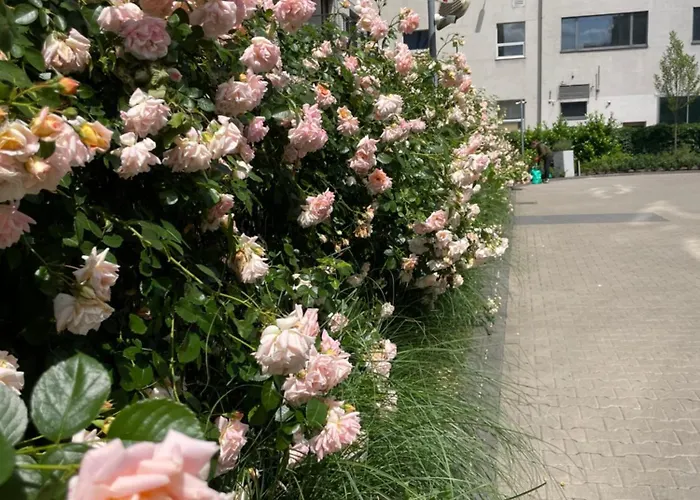 Cybernetyki2 Near Airport Warszawa